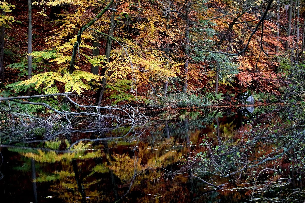Aktivity spojené s ochranou životného prostredia